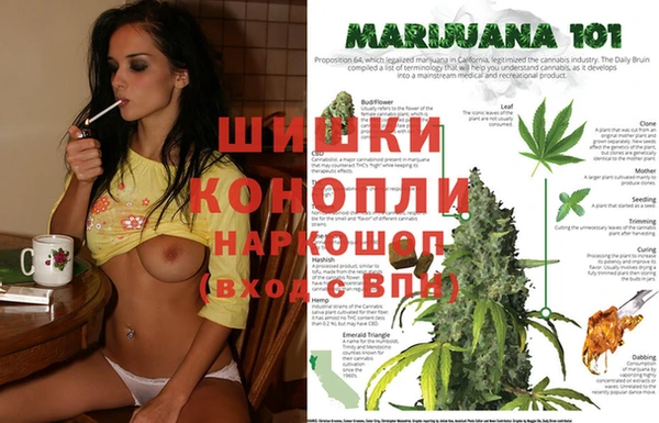 СК Абаза