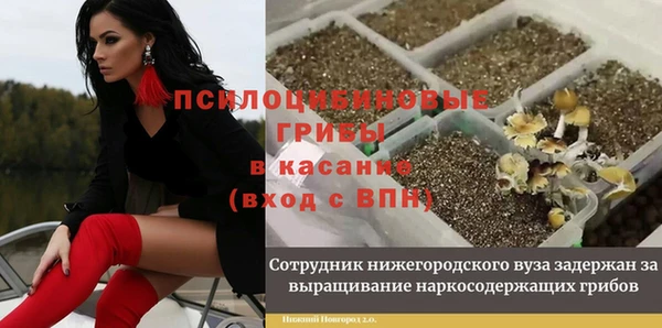 СК Абаза